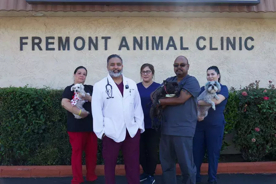 Veterinarian in Stockton, CA